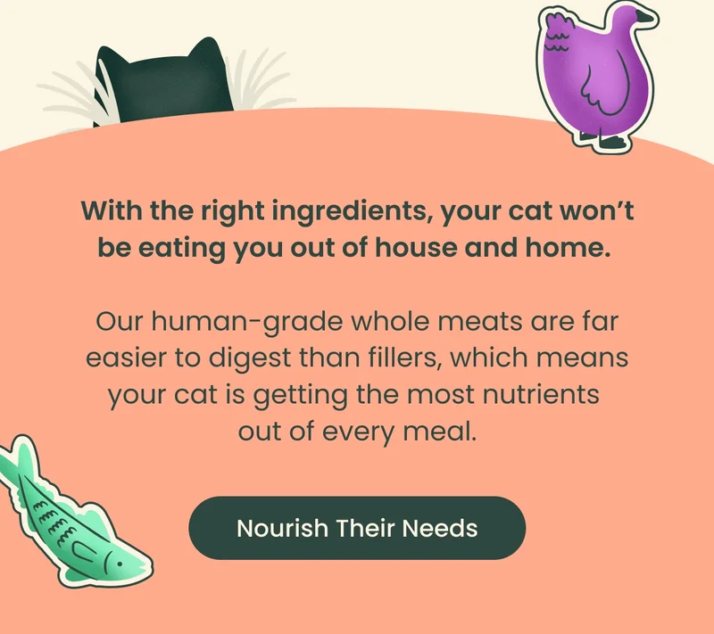 Nourish Their Needs