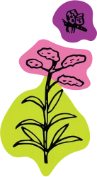 A line drawing of a flower with green and pink behind it