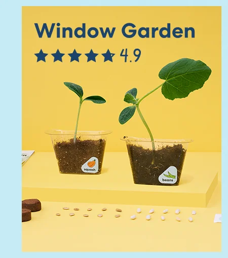 Window Garden