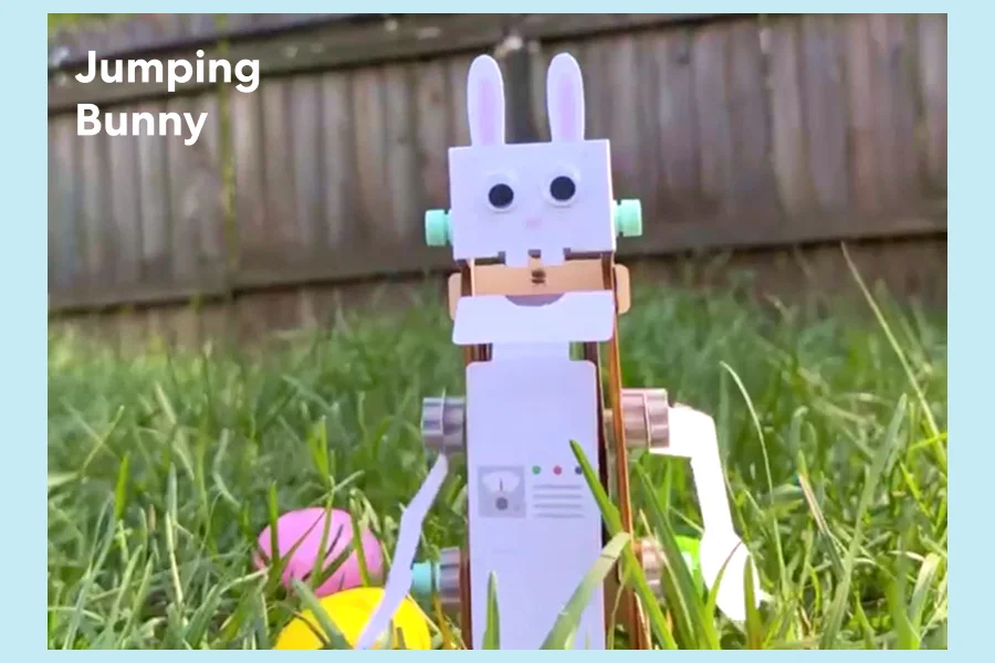 Jumping Bunny
