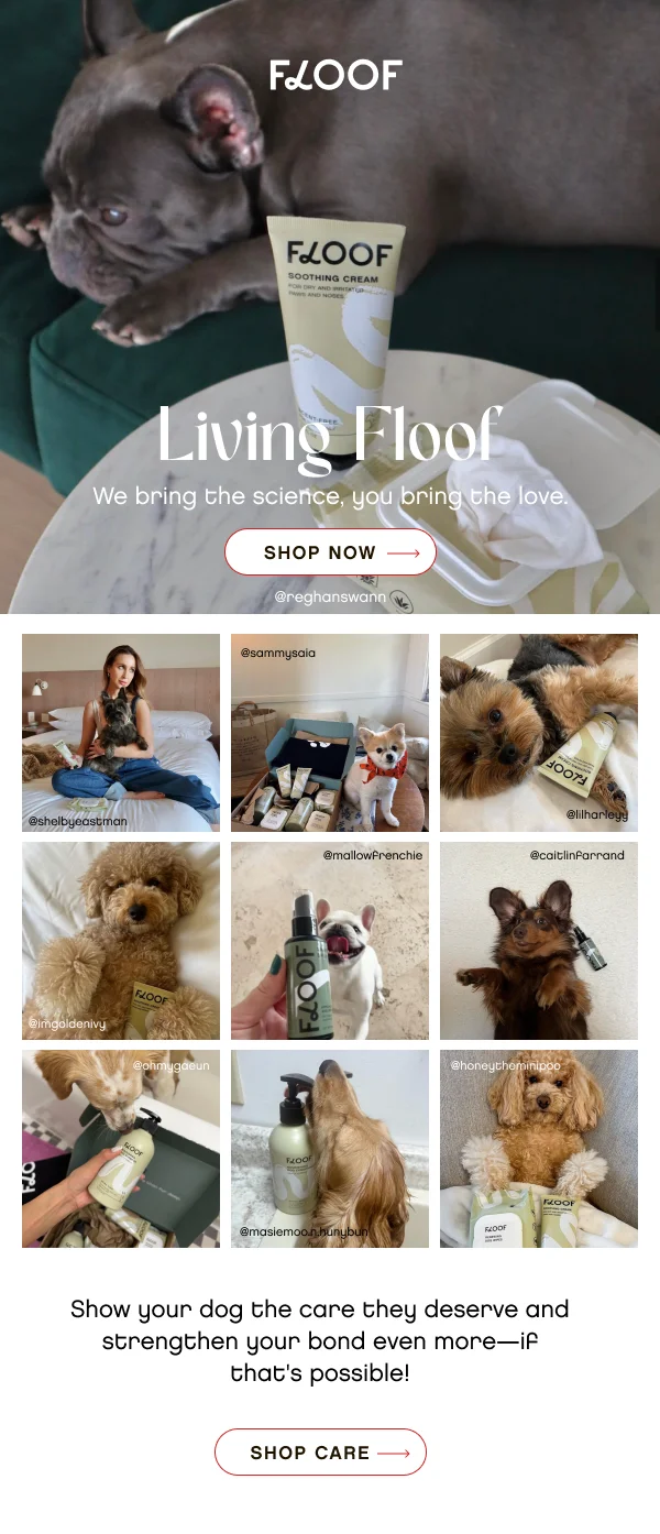 Floof Website