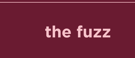 the fuzz