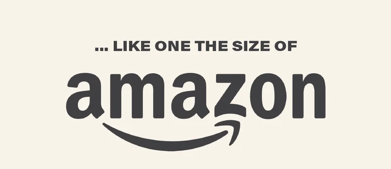 ... LIKE ONE THE SIZE OF AMAZON.
