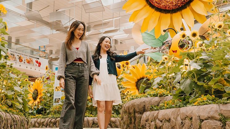 Sunflower 2