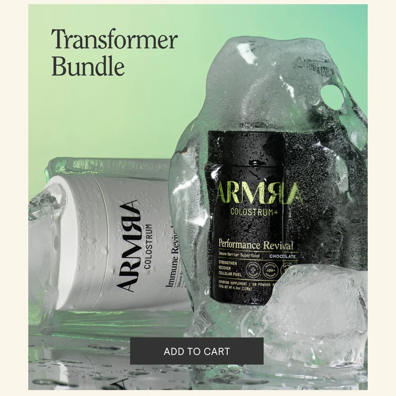 Transformer Bundle