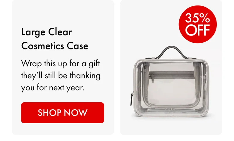 Large Clear Cosmetics Case