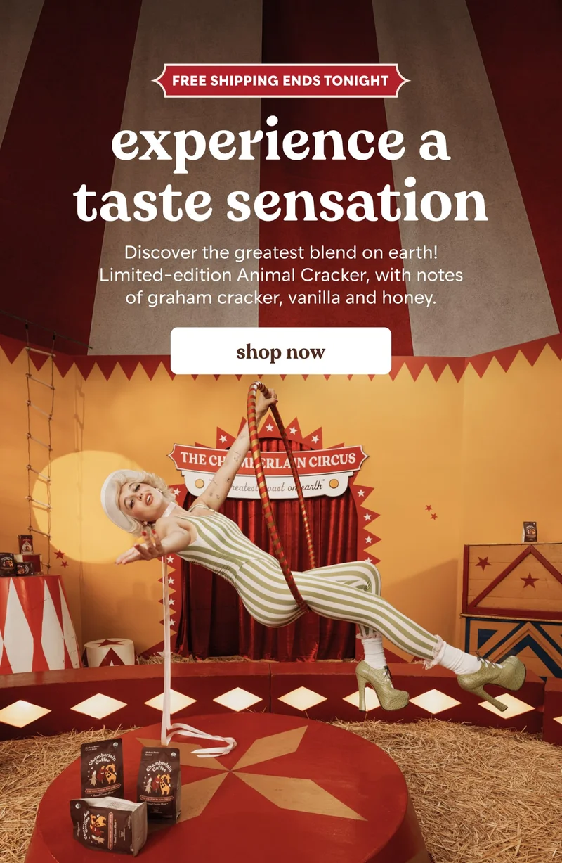 free shipping ends tonight