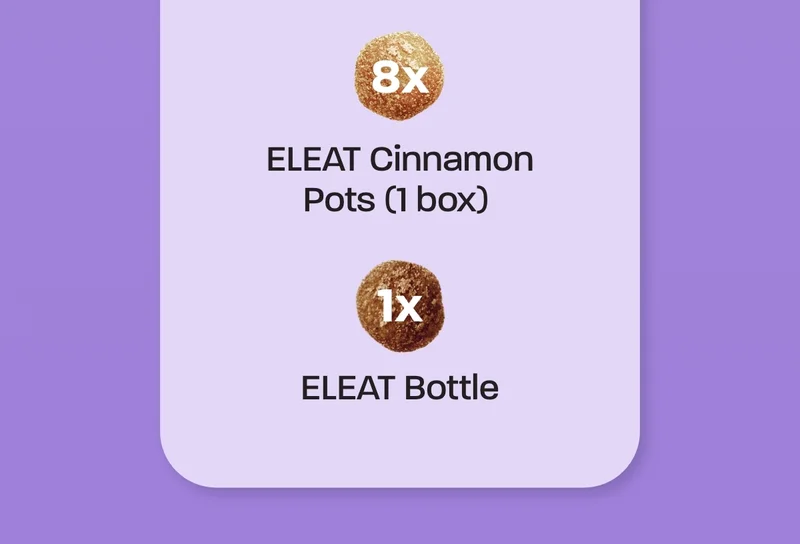 1 box of ELEAT Cinnamon Pots and Bottle