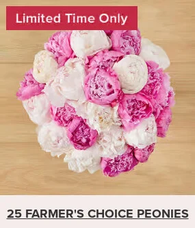 Flowers At a Great Price