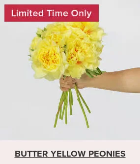 Flowers At a Great Price