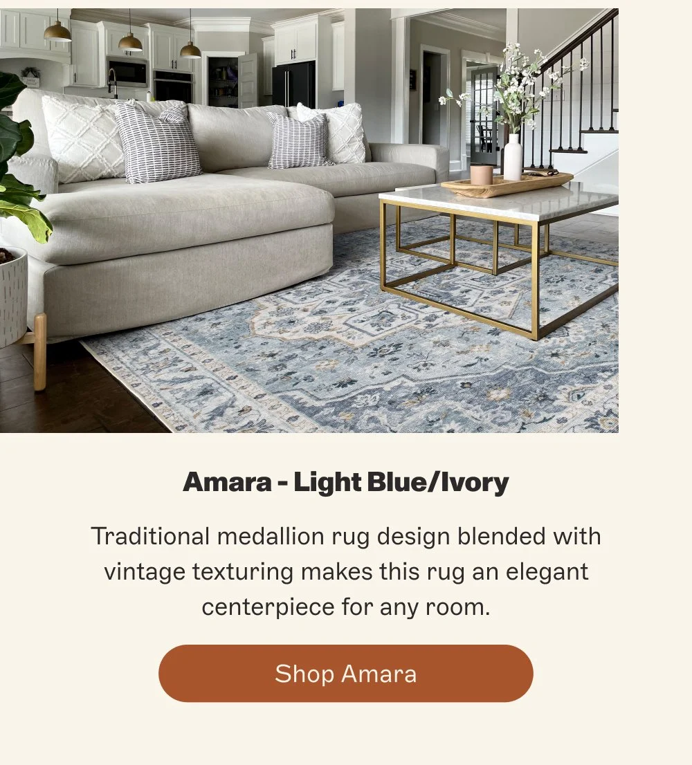 Amara - Light Blue/Ivory Traditional medallion rug design blended with vintage texturing makes th...