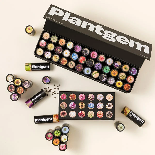Flower Garden in a Box