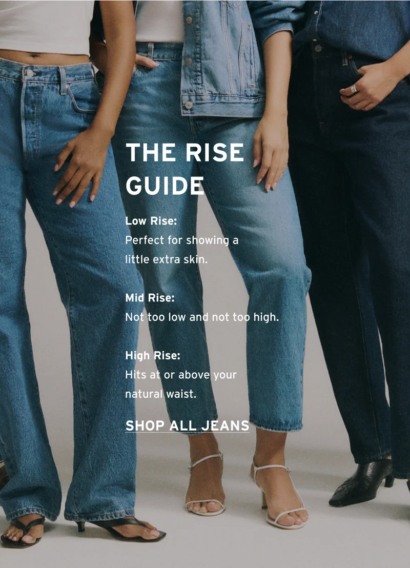 THE RISE GUIDE