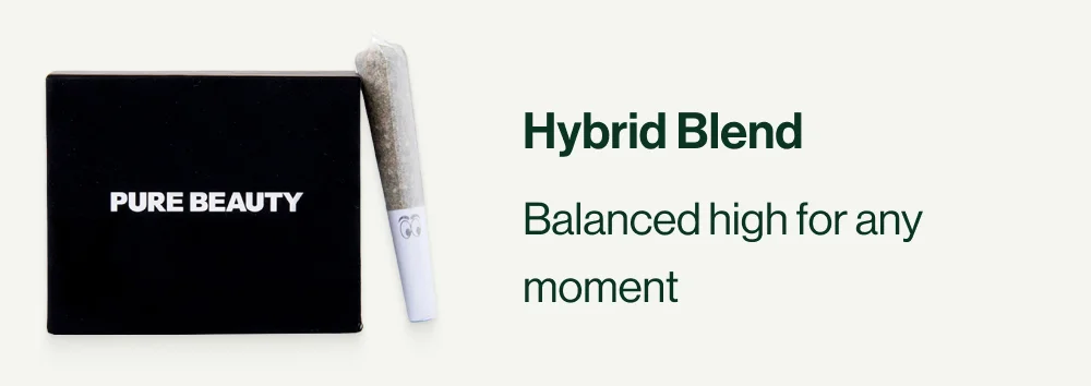 Hybrid Blend