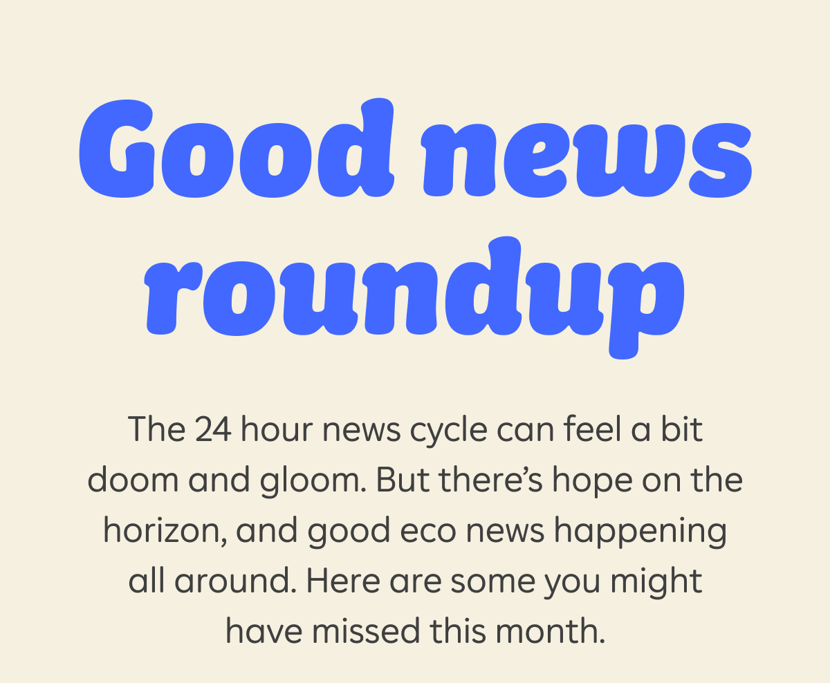Good news roundup  The 24 hour news cycle can feel a bit doom and gloom. But there’s hope on the horizon, and good eco news happening all around. Here are some you might have missed this month.