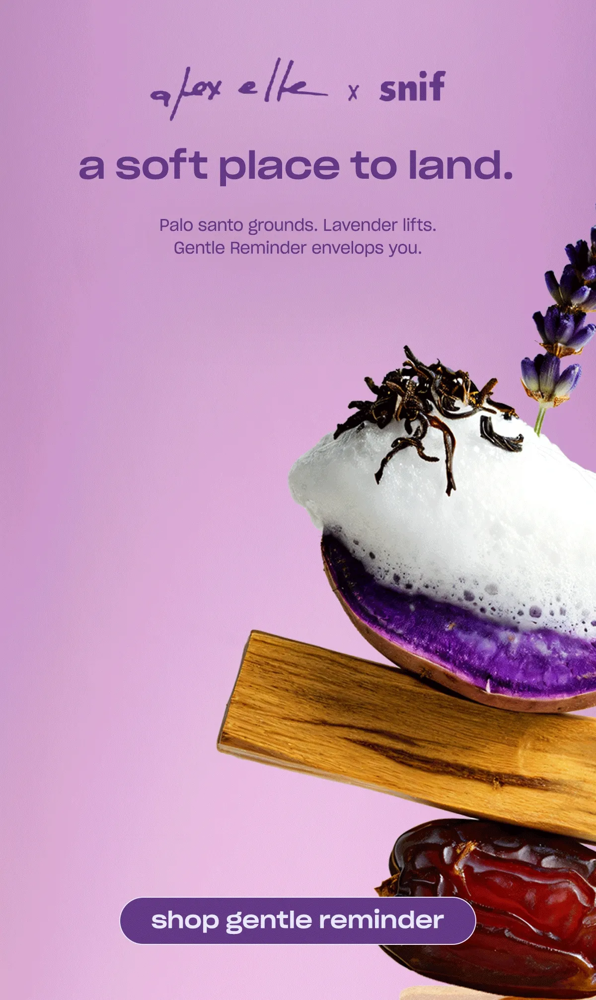 a soft place to land. lavender purple ube milk froth black tea palo santo date sugar [shop gentle reminder]