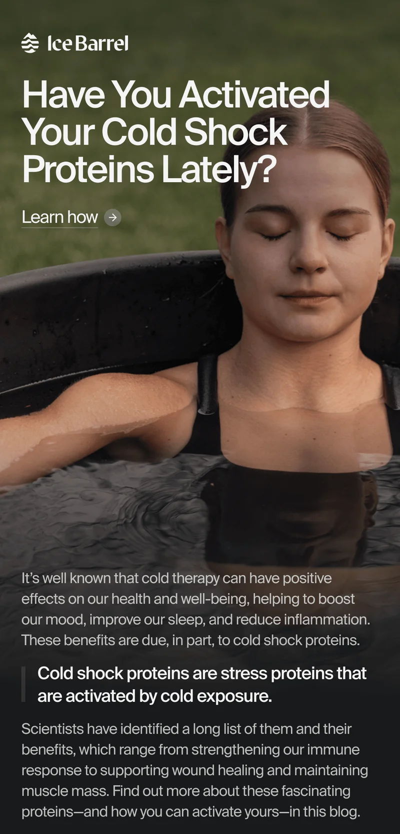 Cold Shock Proteins