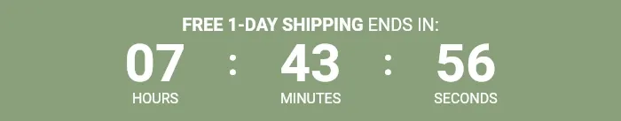 Countdown Timer