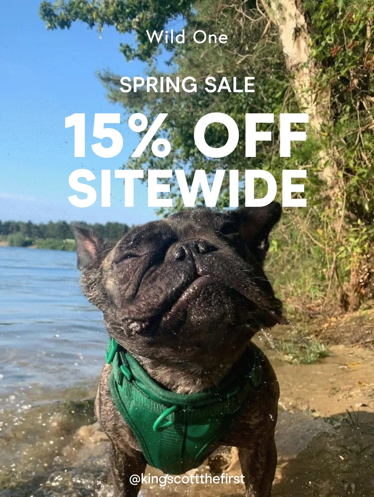 15% Off Sitewide