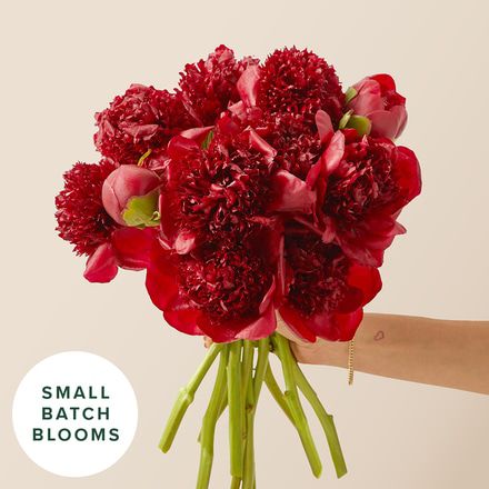 Holiday Peonies Bouq