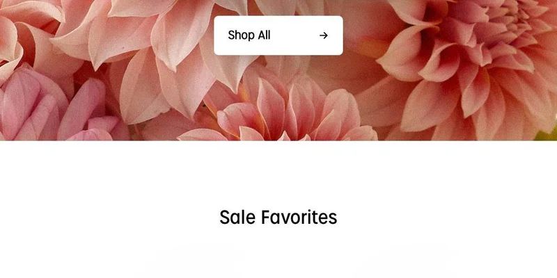 Shop All - Timex