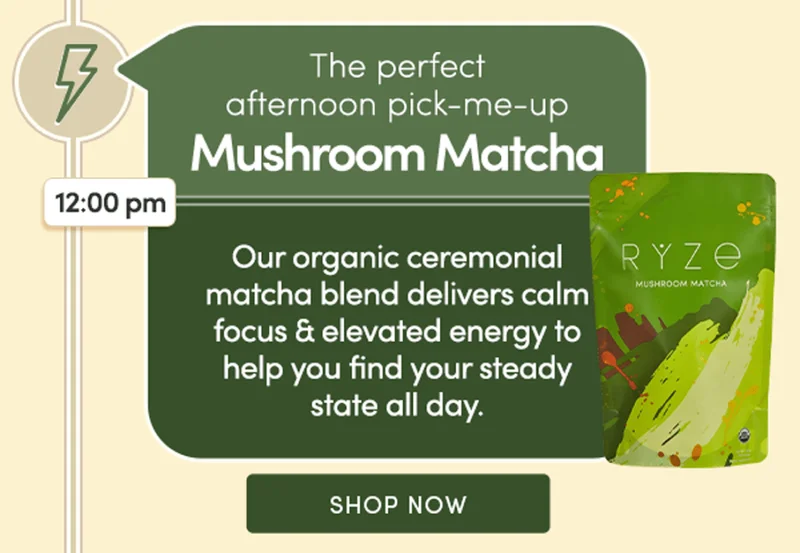The perfect afternoon pick-me-up Mushroom Matcha | Our organic ceremonial matcha blend delivers calm focus & elevated energy to help you find your steady state all day. | Shop Now