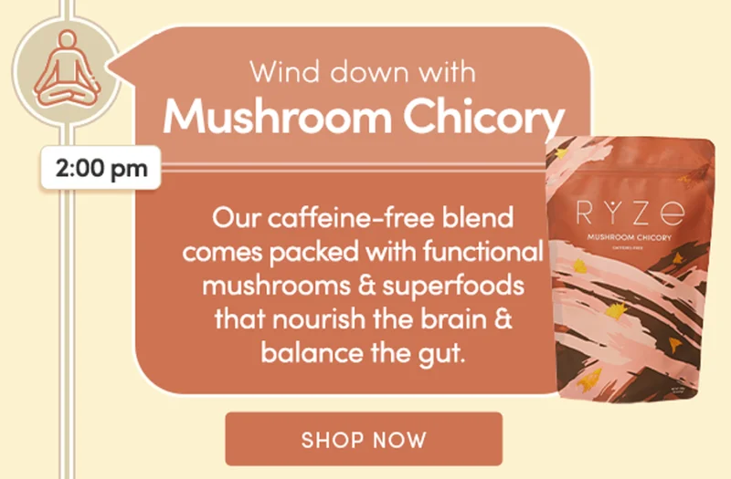 Wind down with Mushroom Chicory | Our caffeine-free blend comes packed with functional mushrooms & superfoods that nourish the brain & balance the gut. | Shop Now