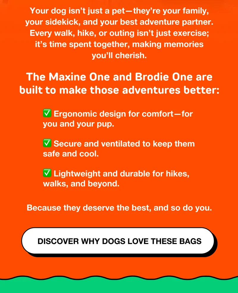 DISCOVER WHY DOGS LOVE THESE BAGS