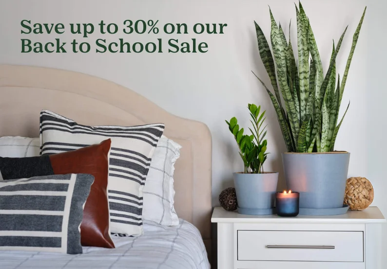 SAVE UP TO 30%