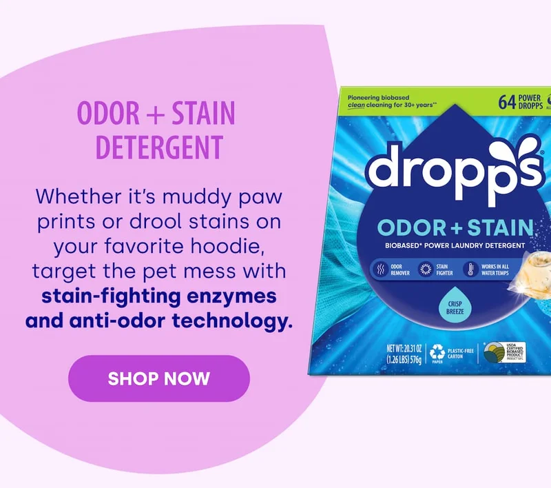 Odor + Stain  Detergent Whether it’s muddy paw prints or drool stains on your favorite hoodie, target the pet mess with stain-fighting enzymes and anti-odor technology. [SHOP now]