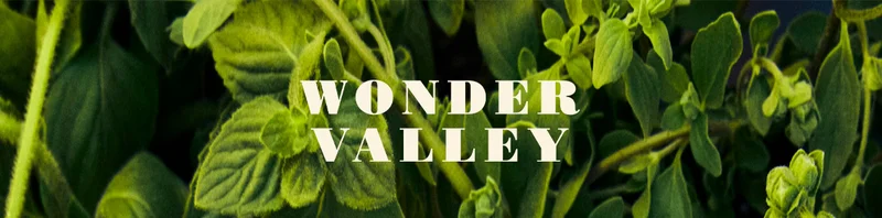 WONDER VALLEY