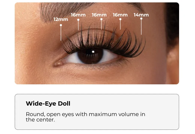 Close-up of an eye with a Wide-Eye Doll lash style, showing lash lengths from inner to outer corner: 12mm, 16mm, 16mm, 16mm, 14mm. This style creates round, open eyes with maximum volume in the center.
