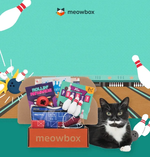Join the game! Image of a black white spotted cat next to the Kittypin Lanes meowbox (featuring toys like the Pin Purrty 2-in-1 multipack, Rollin' Rewards puzzle feeder, Scratch & Strike multipack cat toys and more)