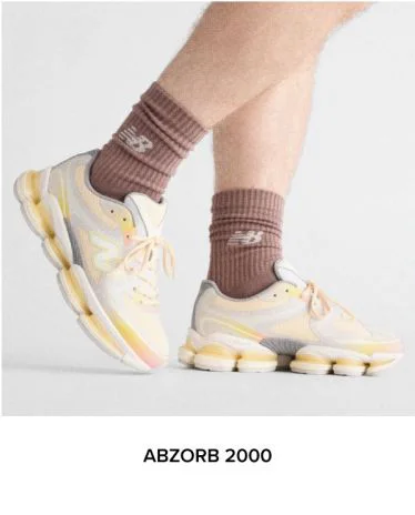 ABZORB 2000