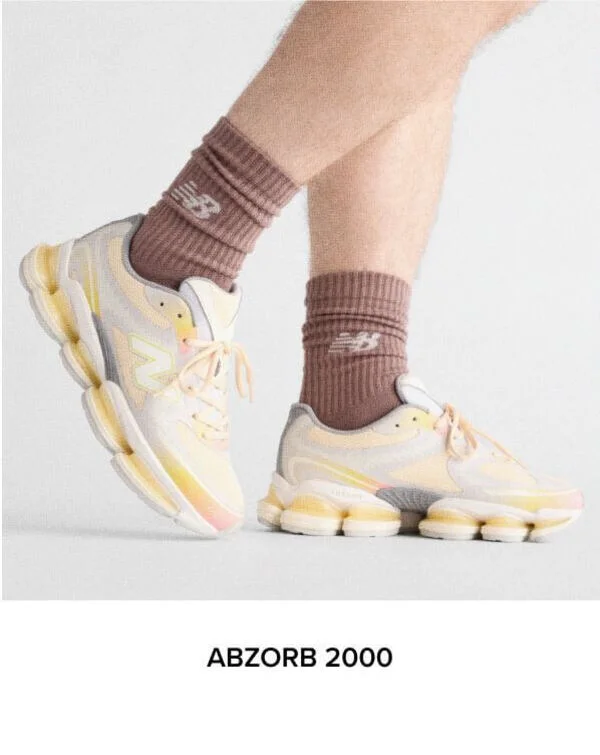 ABZORB 2000