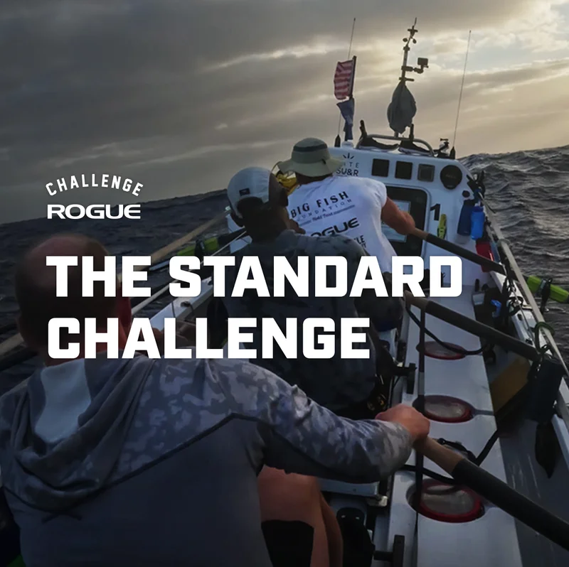 The Standard Challenge