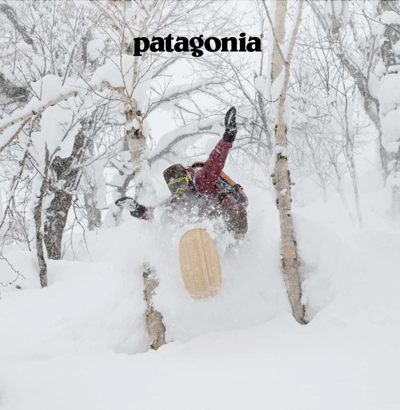 Patagonia. A snowboarder jumps between trees on a powder day.