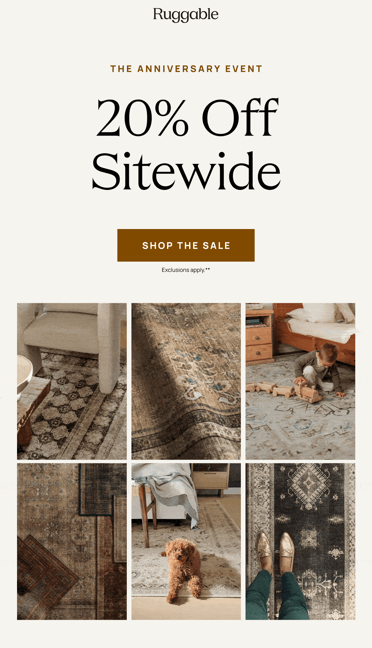 Shop The Sale