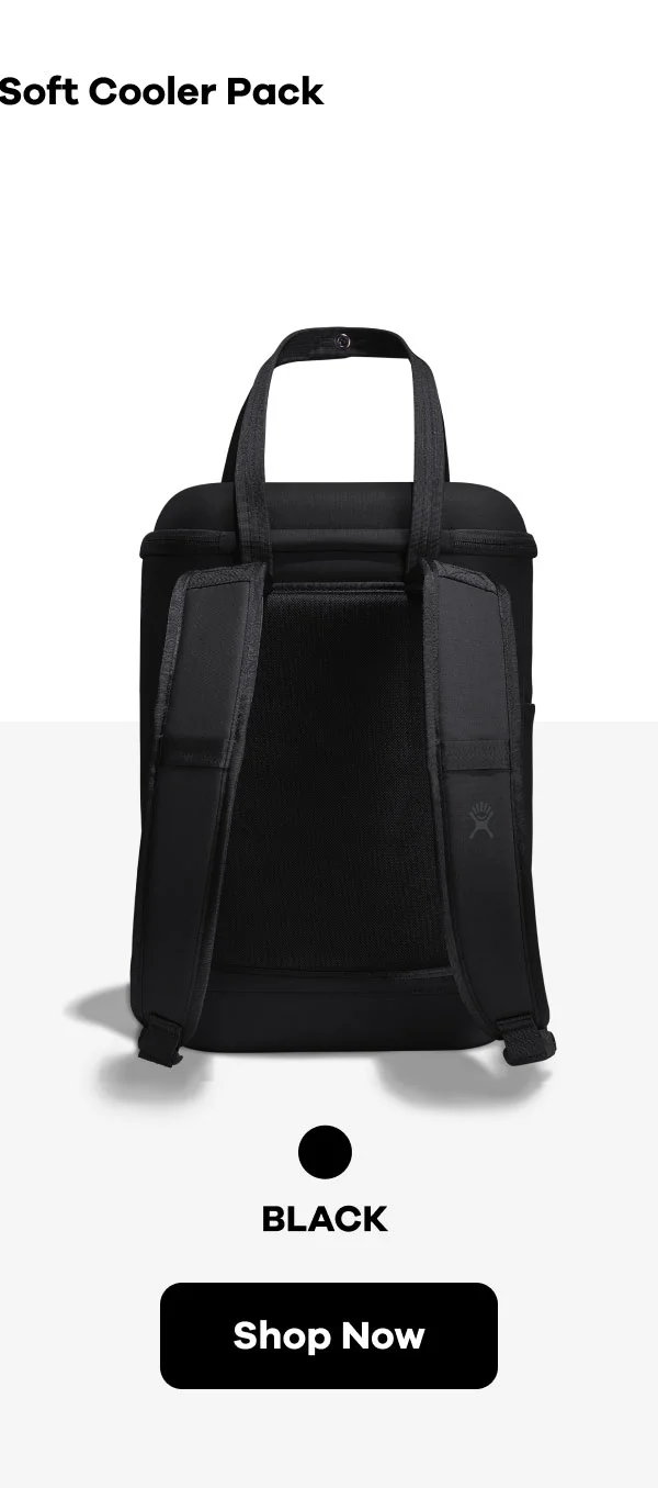 20 L Carry Out™ Soft Cooler Pack | Shop Black