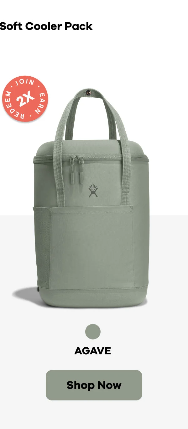 20 L Carry Out™ Soft Cooler Pack | Shop Agave