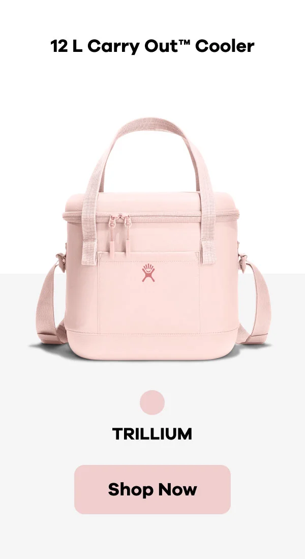 20 L Carry Out™ Soft Cooler | Shop Trillium