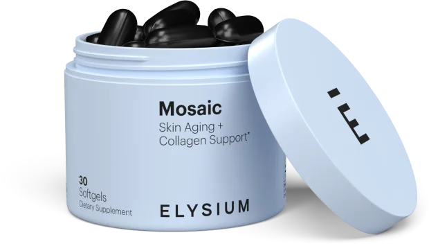 Mosaic | ELYSIUM