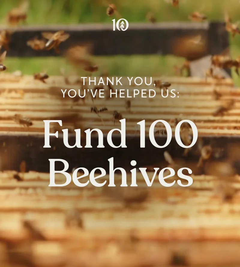 Thank You, You've Helped Us: Fund 100 Beehives