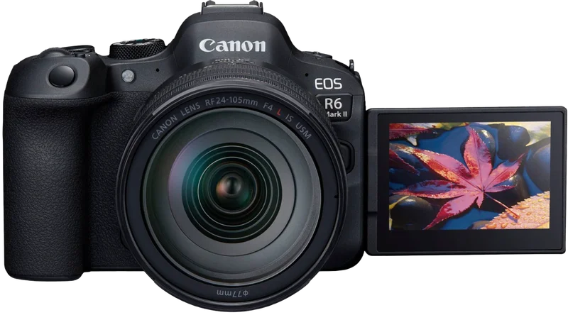 Canon Camera
