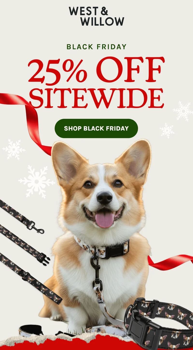 Shop Black Friday