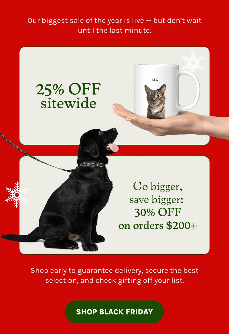Shop Black Friday