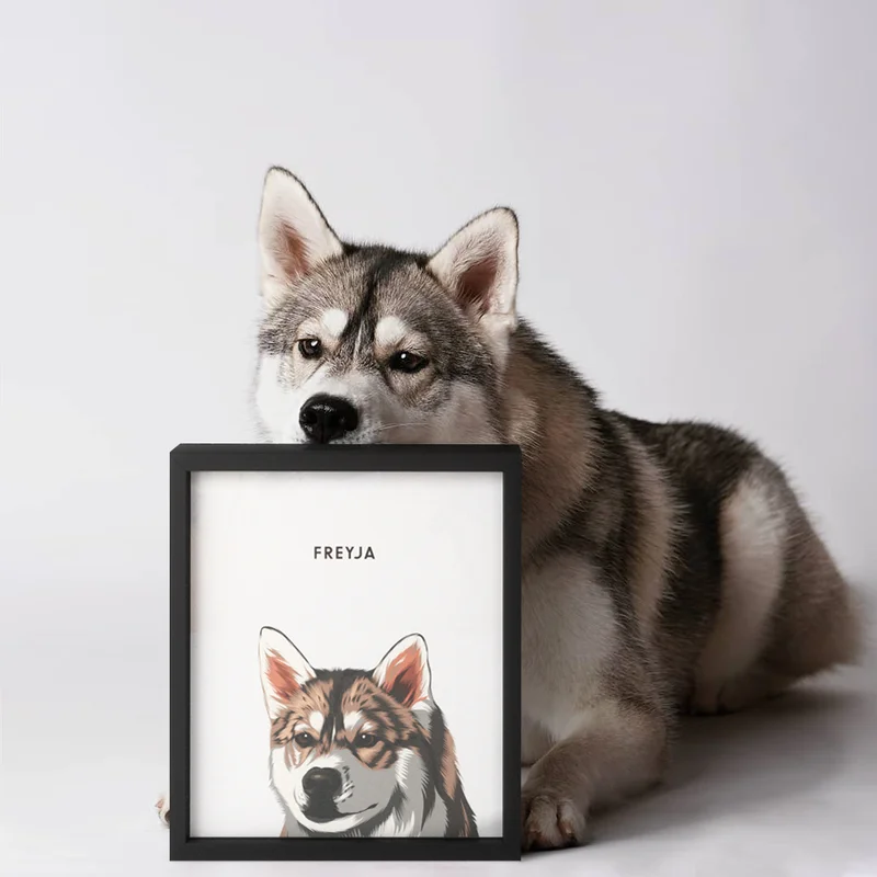 Modern pet portrait - One pet