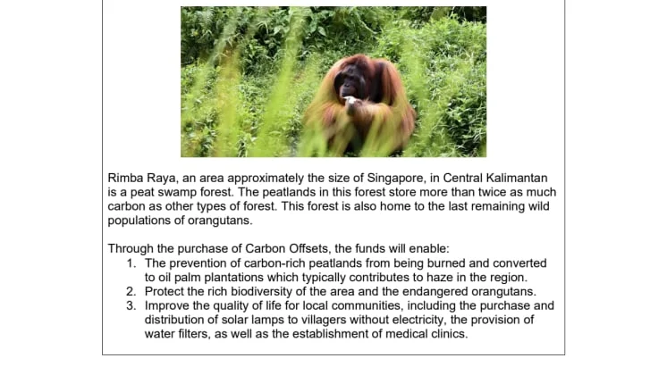 Annex - Changi Carbon Offset.pdf