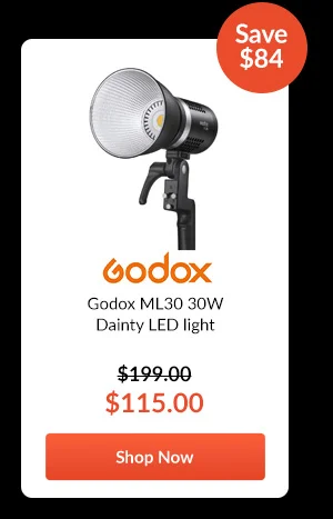 Godox ML30 30W Dainty LED light