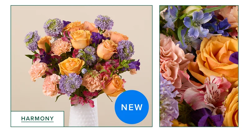 FEATURED BOUQ; HARMONY